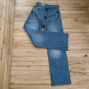 Zara High-Rise Straight Leg Jean, 6L